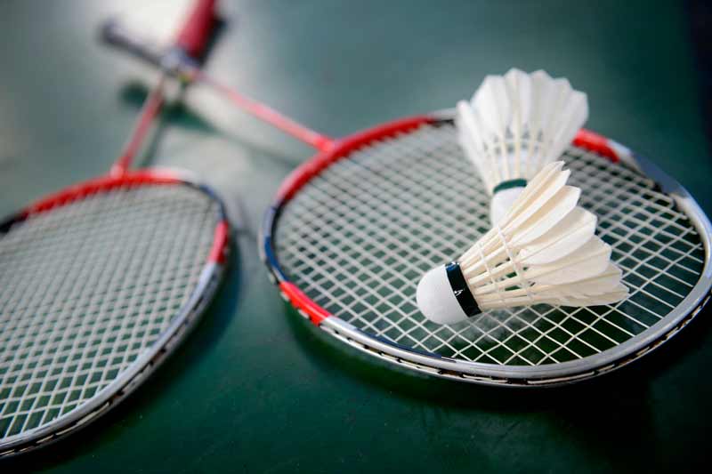 pales i volants de bàdminton