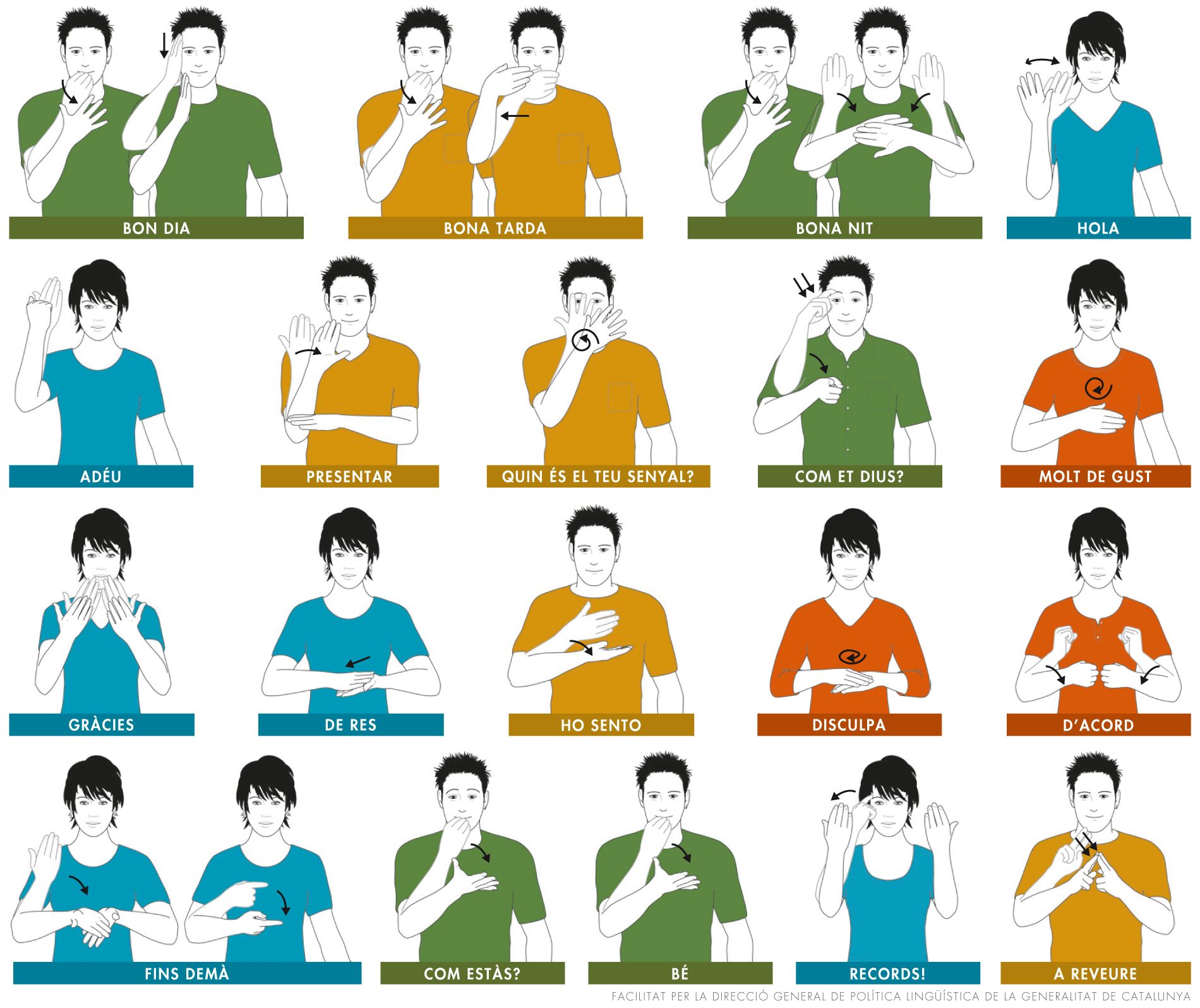 Cartell sobre signes bàsics de la llengua de signes